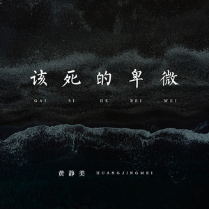 个性IP小狐导航
