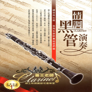 个性IP小狐导航
