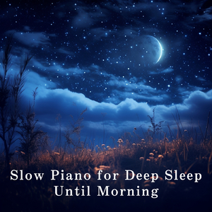 个性IP小狐导航
